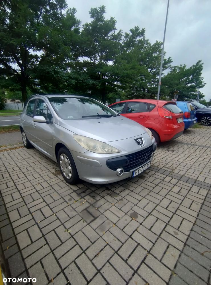 Peugeot 307 - 3