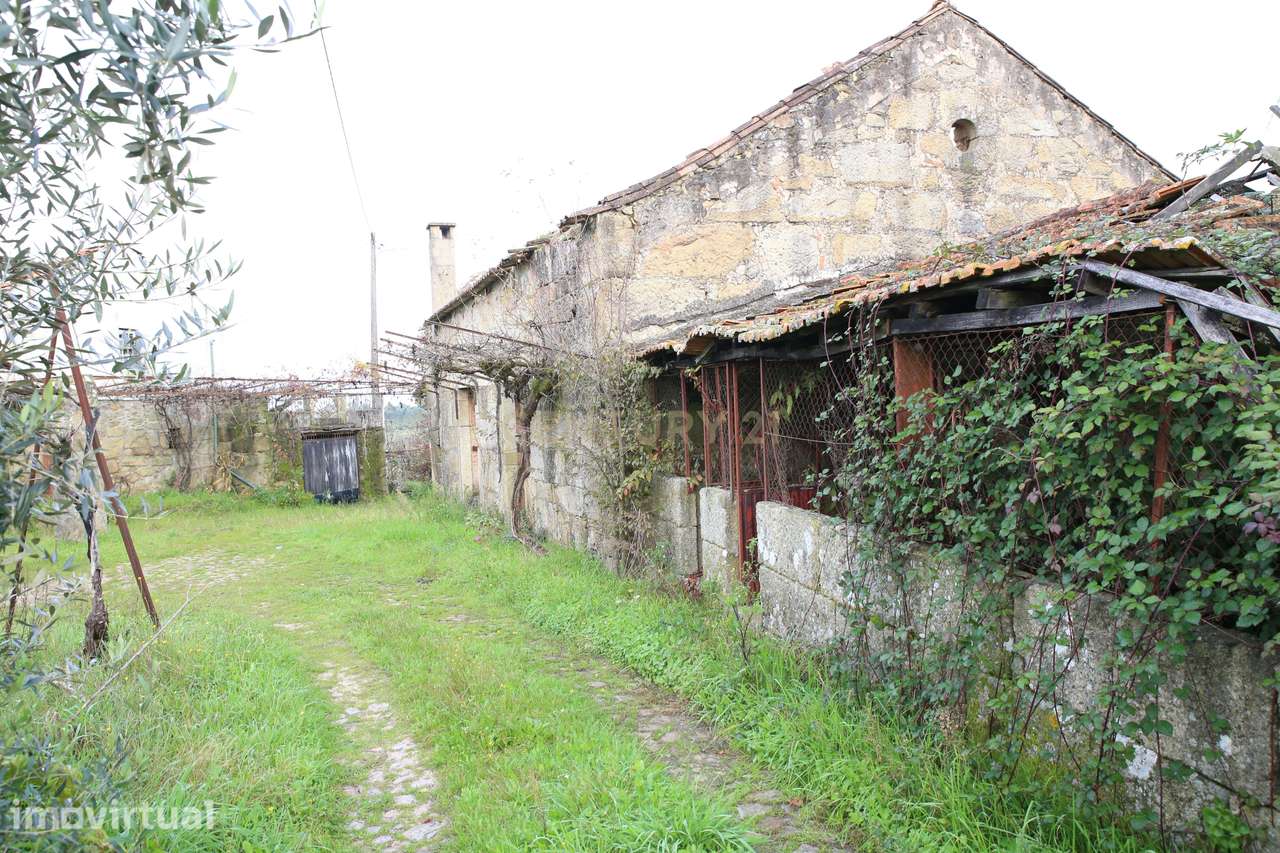 Quinta em Oliveira do Hospital, com 60000 m2 com casas para recuperar. - Grande imagem: 3/60