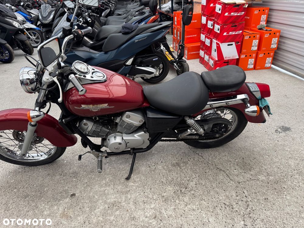 Honda Shadow - 4