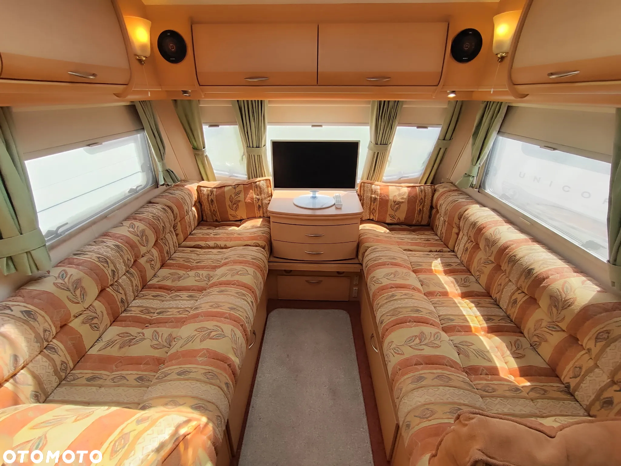 Coachman Amara - 19