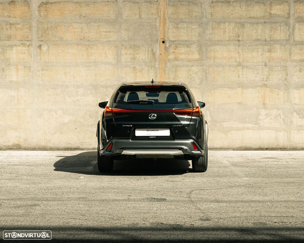 Lexus UX 250h Sport (Ecrã 12.3) - 5