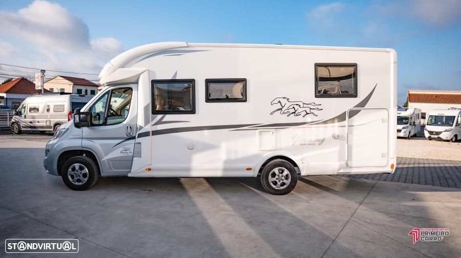 McLouis Yearling 72g c.central e basculante - 46