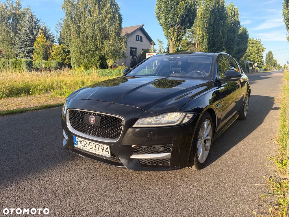 Jaguar XF 3.0 TDV6 R-Sport - 2