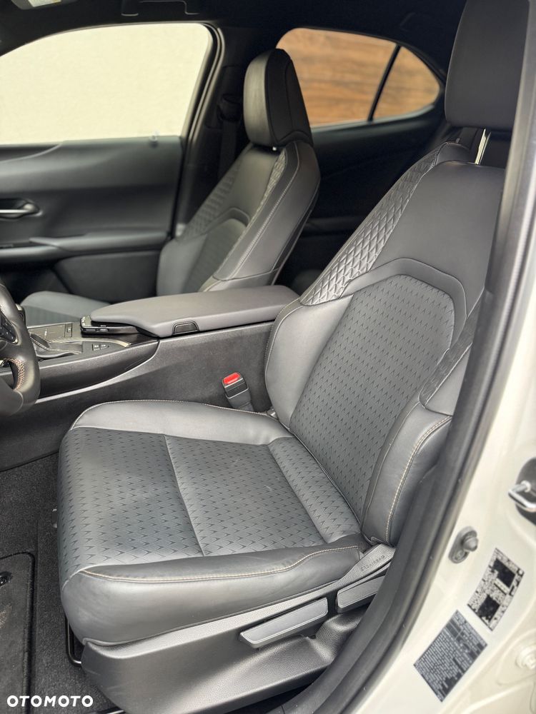 Lexus UX 200 GPF F Sport Edition 2WD - 18