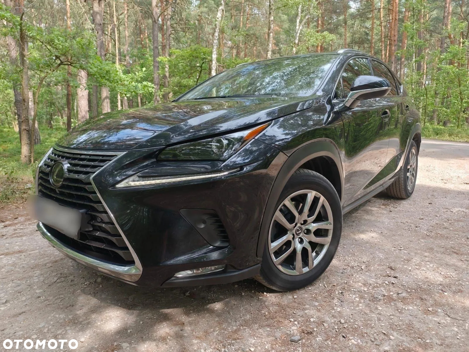 Lexus NX 300 Comfort AWD - 4
