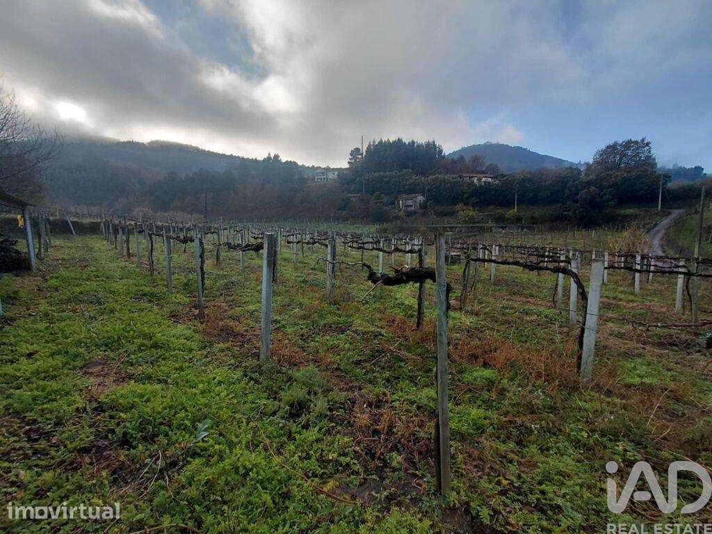 Terreno em Messegães, Valadares e Sá - Grande imagem: 3/6