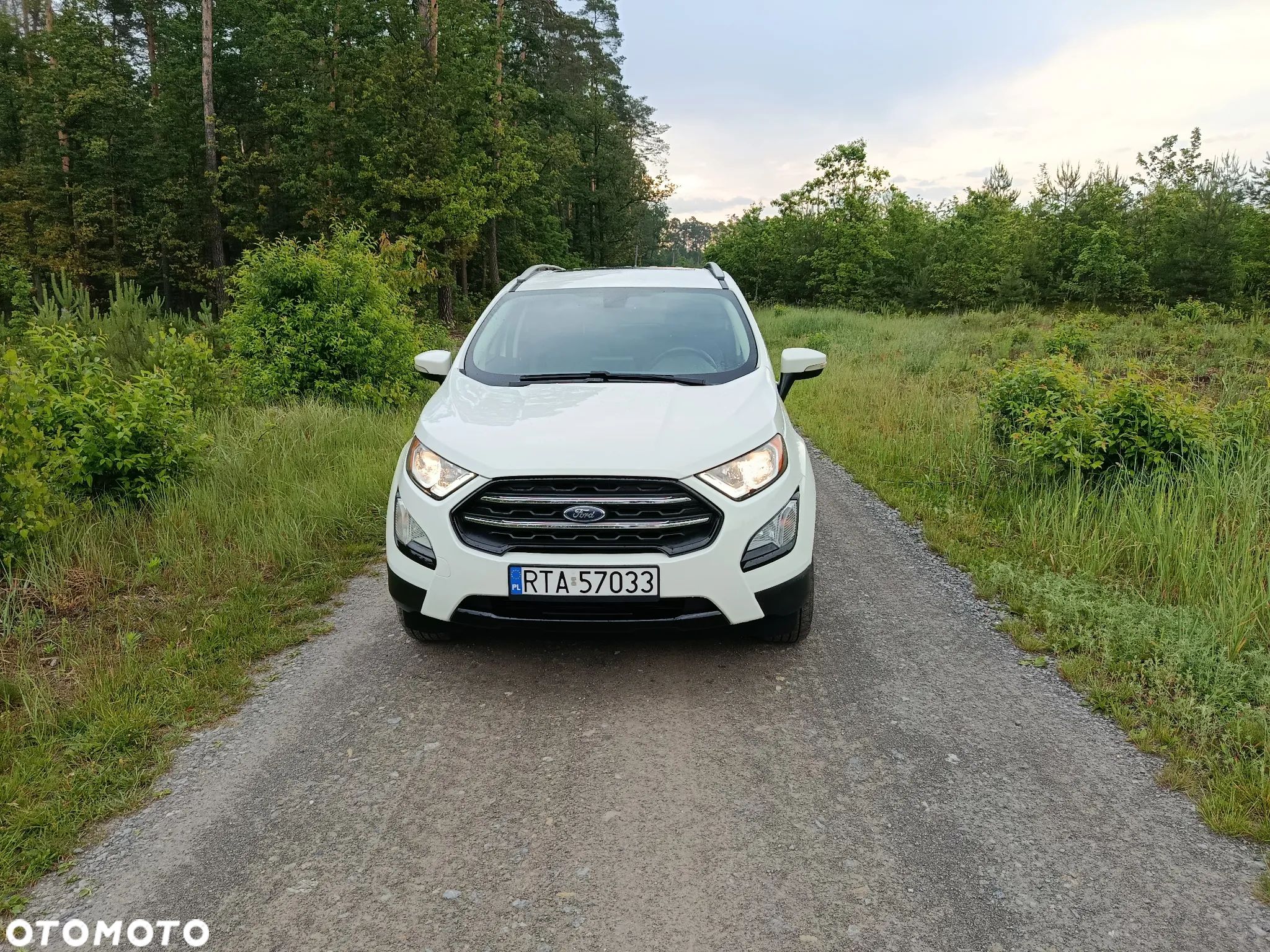 Ford EcoSport - 1