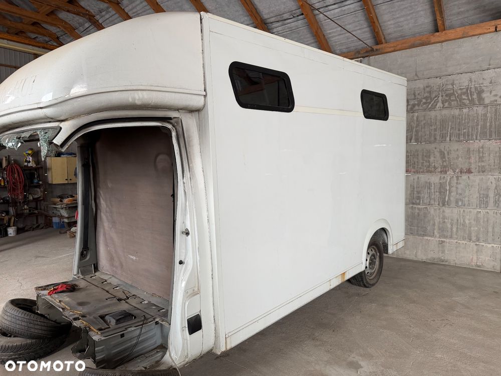 Renault Master, koniowóz - 8