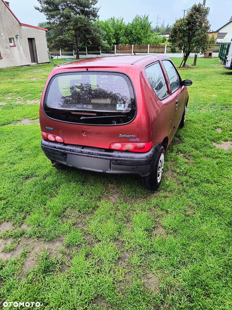 Fiat Seicento - 3