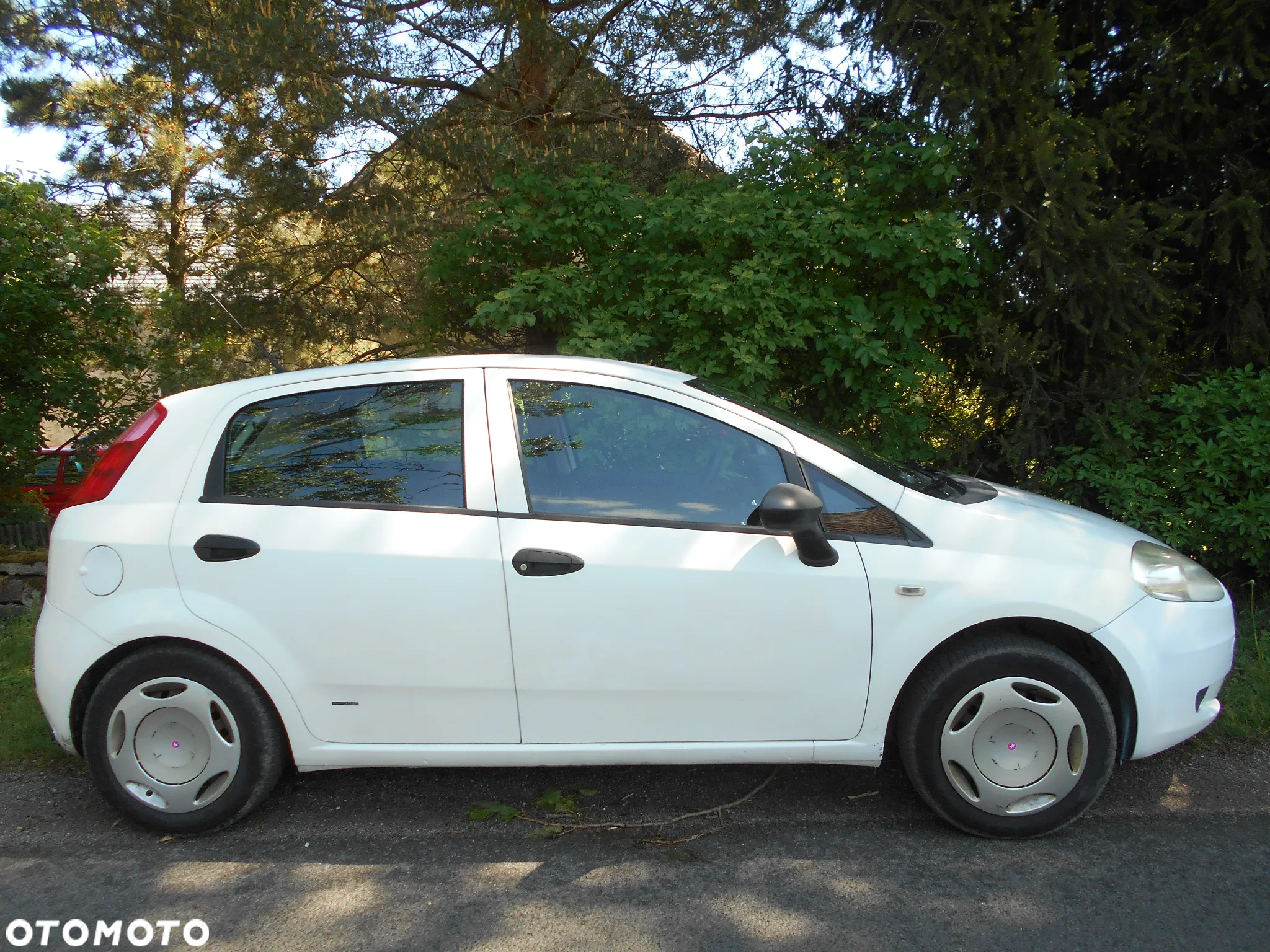 Fiat Punto 1.2 8V Active - 2