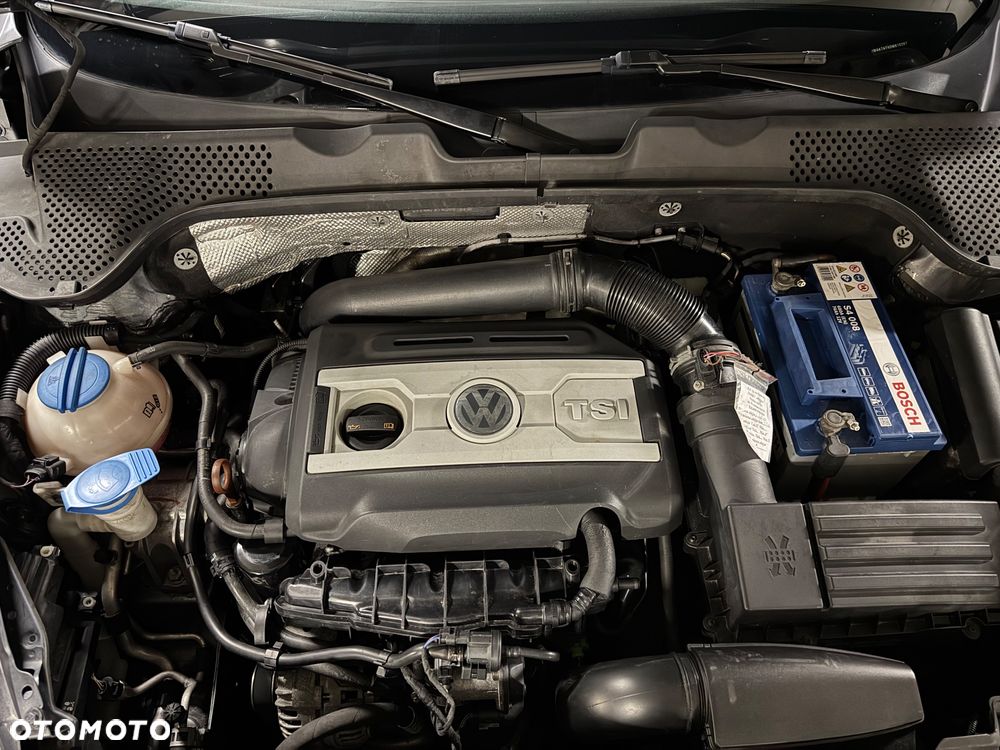 Volkswagen Beetle - 18