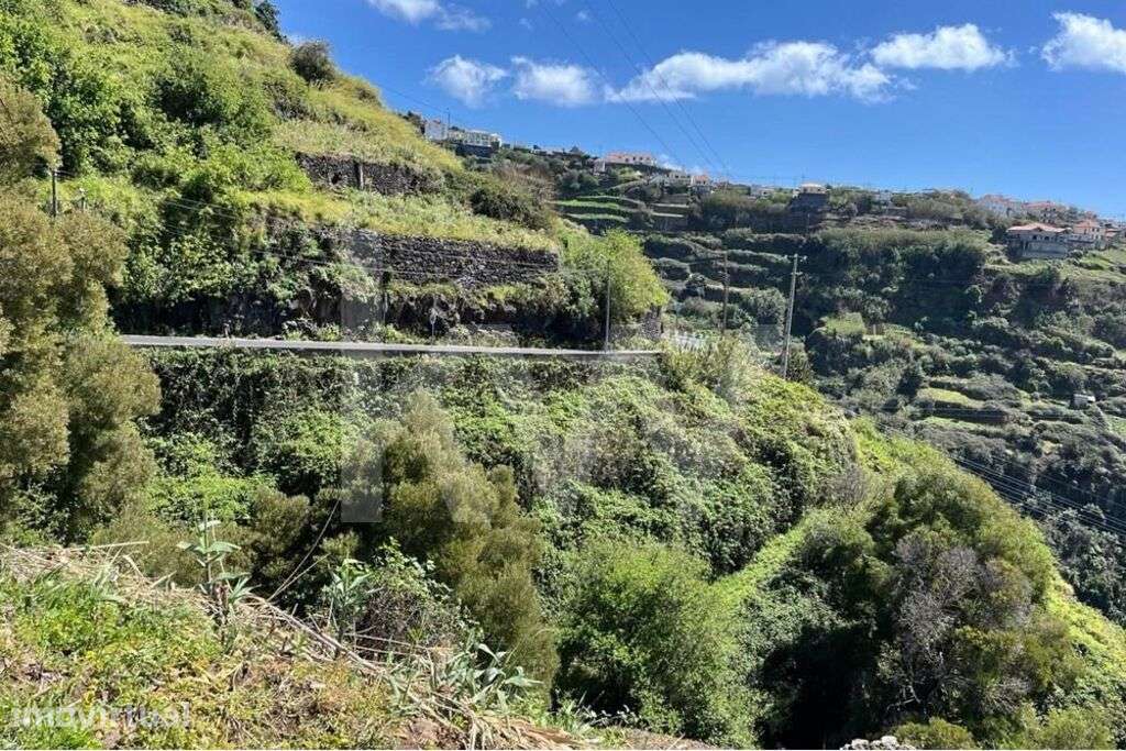 LAND FOR A PERFECT HOUSE | LOMBO DO BRASIL | CALHETA | MADEIRA ISLAND - Grande imagem: 5/22