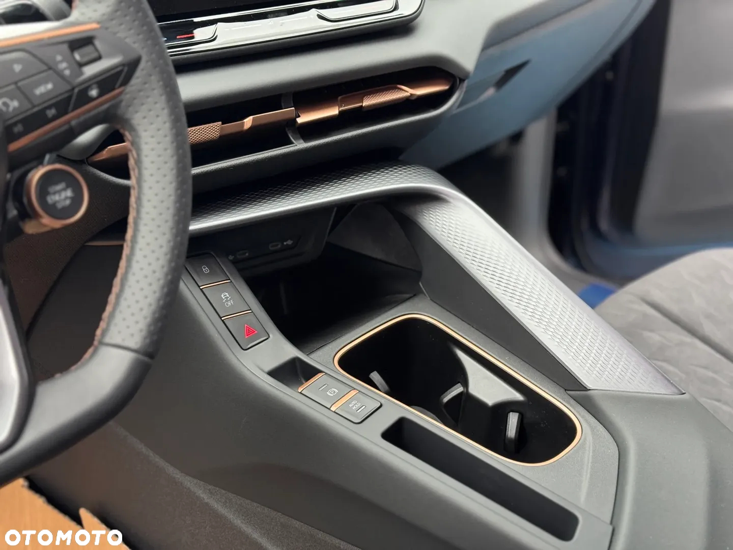 Cupra Terramar - 9