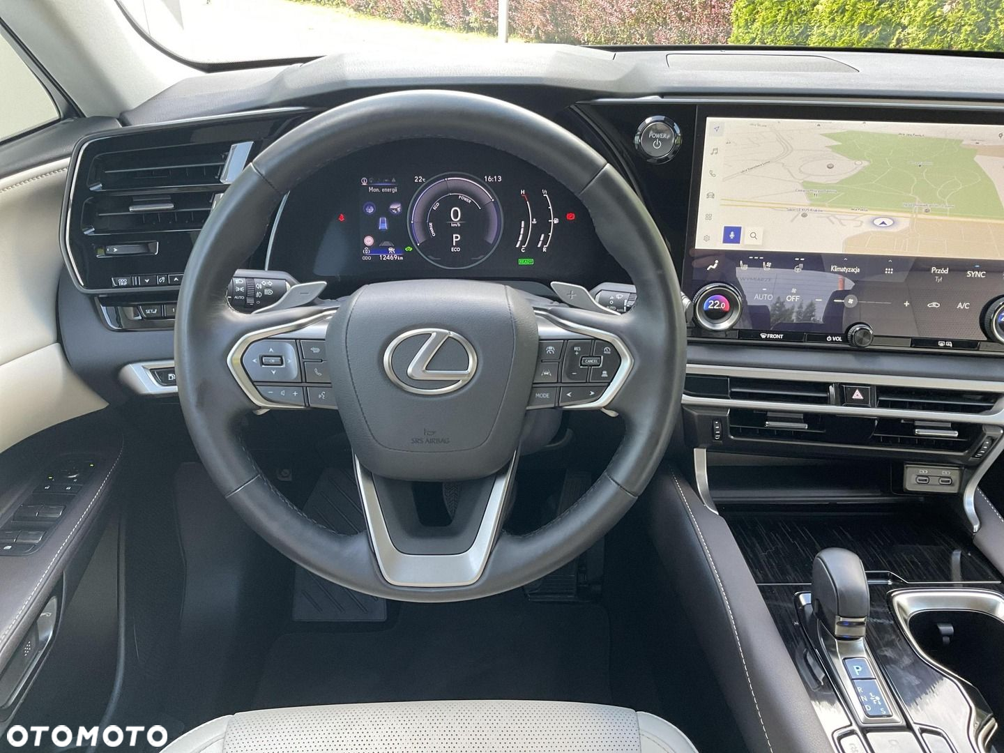 Lexus RX - 19