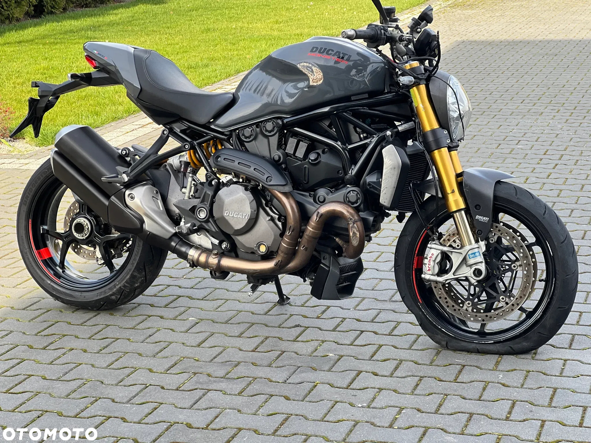 Ducati Monster - 5