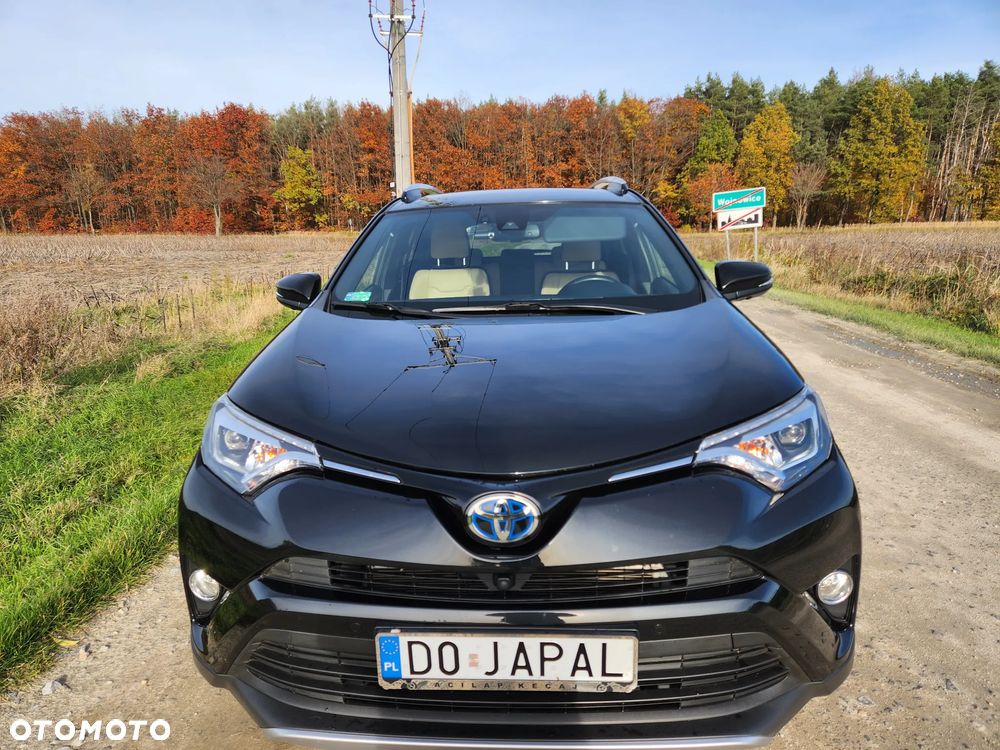 Toyota RAV4 Hybrid Prestige 4x2 - 12