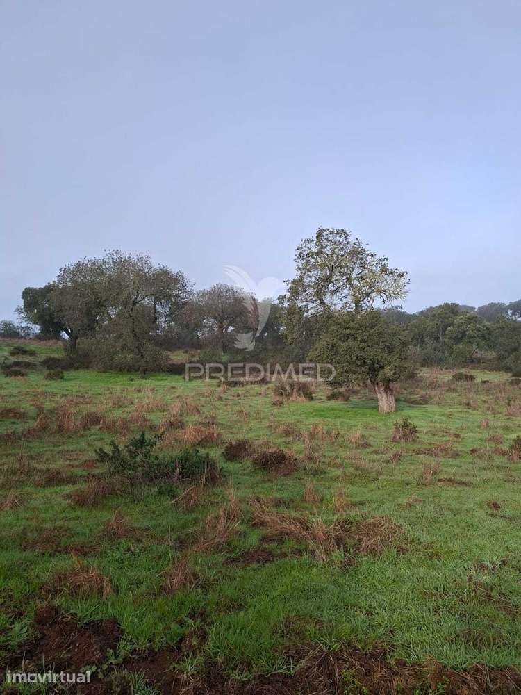 Terreno Rústico com 4,1 Hectares no Rosário - Alandroal - Grande imagem: 3/28