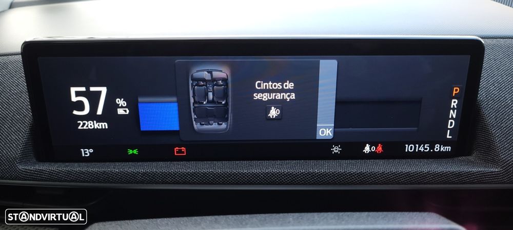 Ford Mustang Mach-E Standard - 25