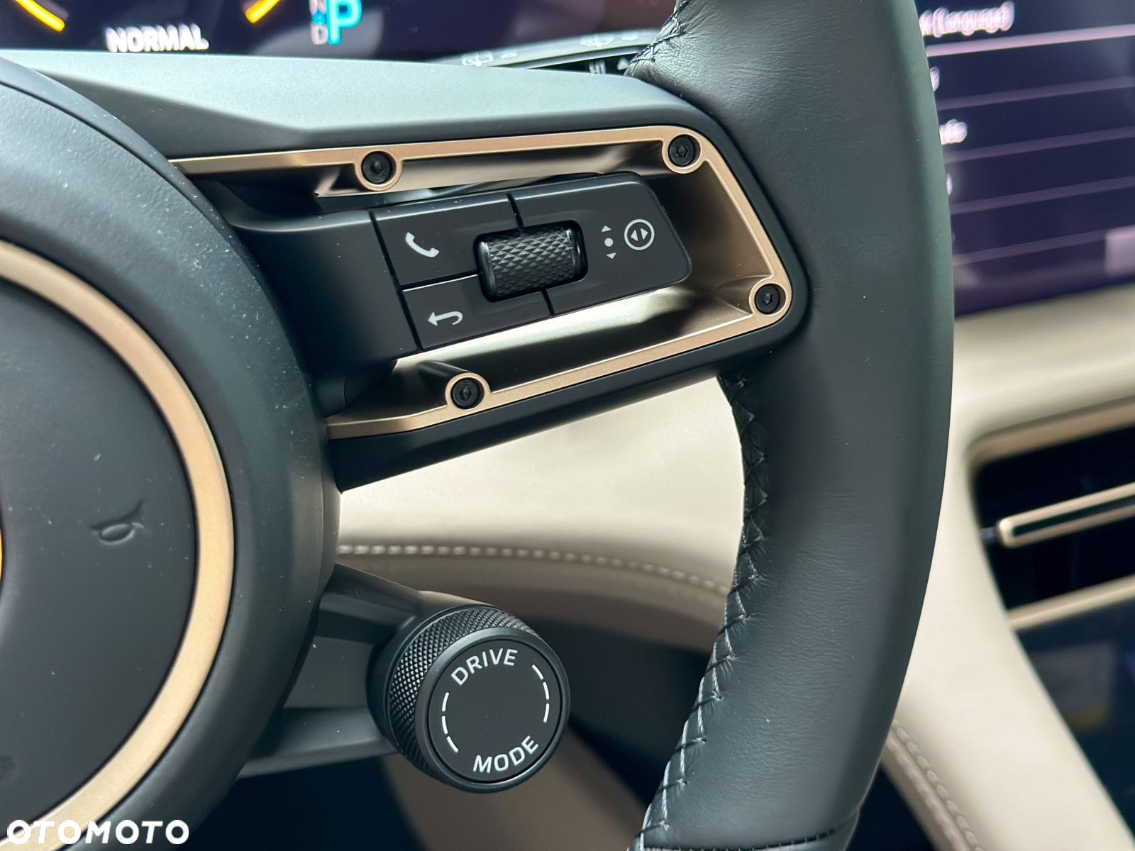 Porsche Taycan Performance Plus - 21