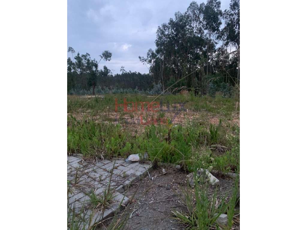 Lote na Urbanização Quinta da Loba - Grande imagem: 4/6