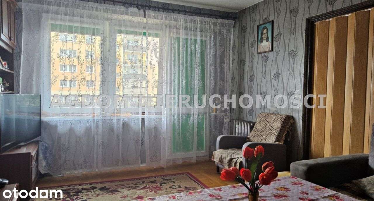 40m kw z widokiem na las