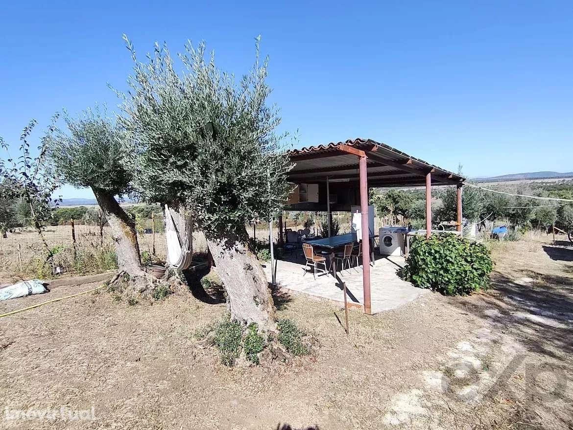 Quinta dos Britos: Refúgio em Nisa com 1750 m² - Grande imagem: 4/16