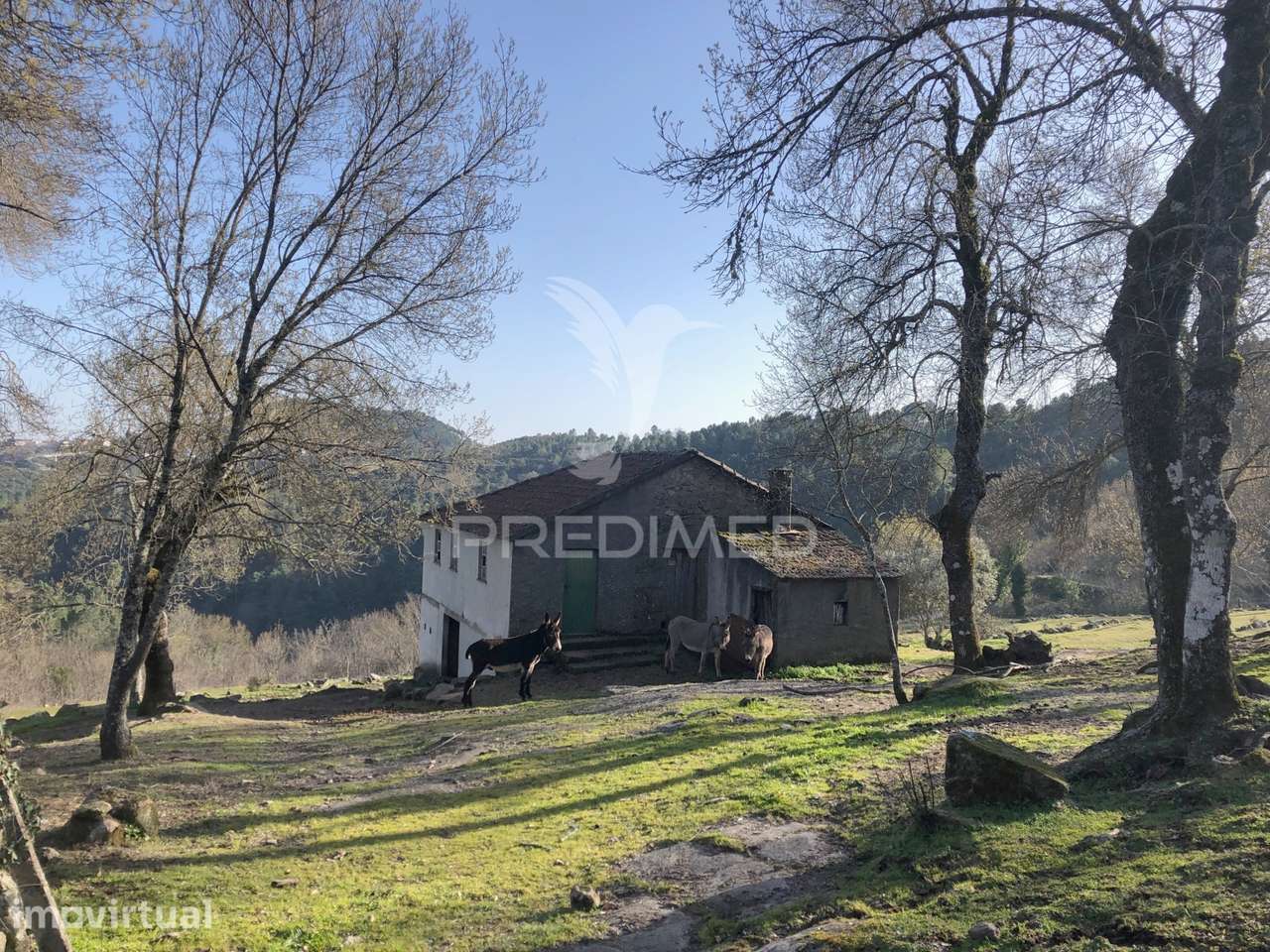 Quintinha p/ recuperar em Torgueda - Vila Real - Grande imagem: 3/36
