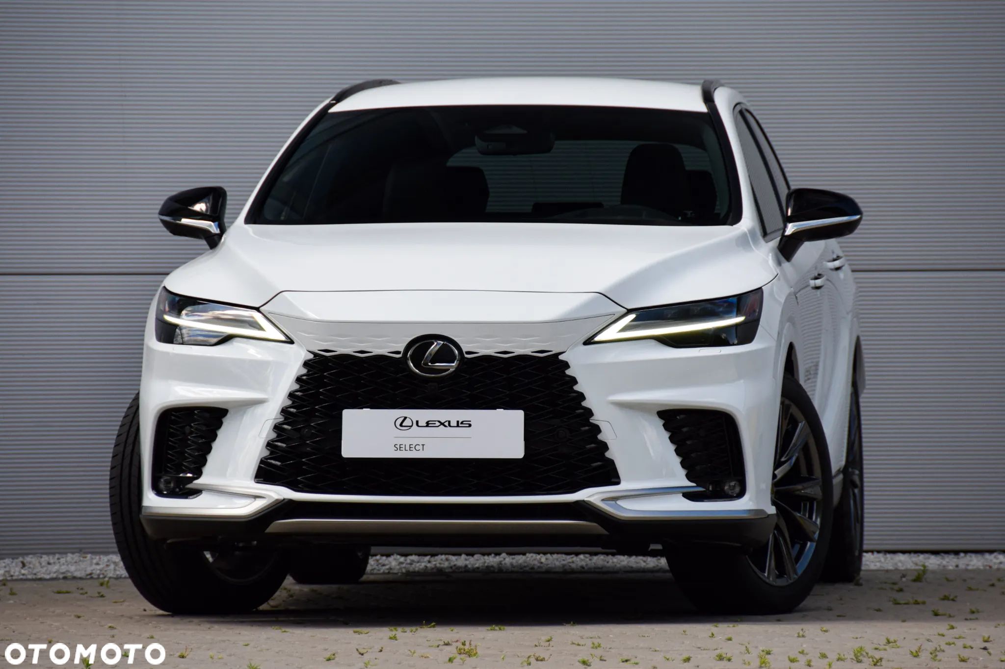 Lexus RX 350h F Sport Design - 1