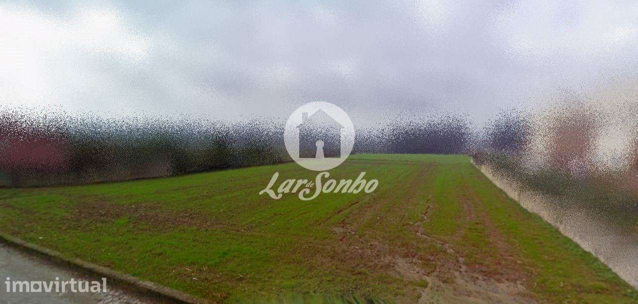 Terreno para construção de Moradias com 3.000m² em Mosteiró - Grande imagem: 4/8