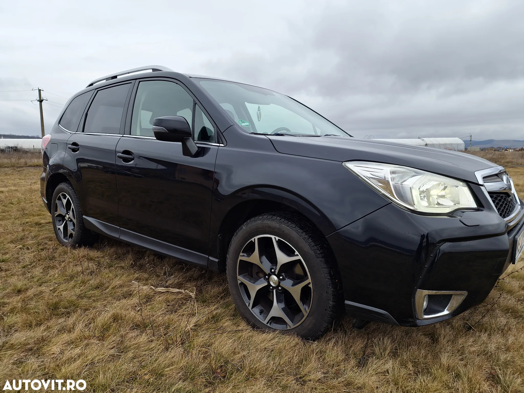 Subaru Forester - 6