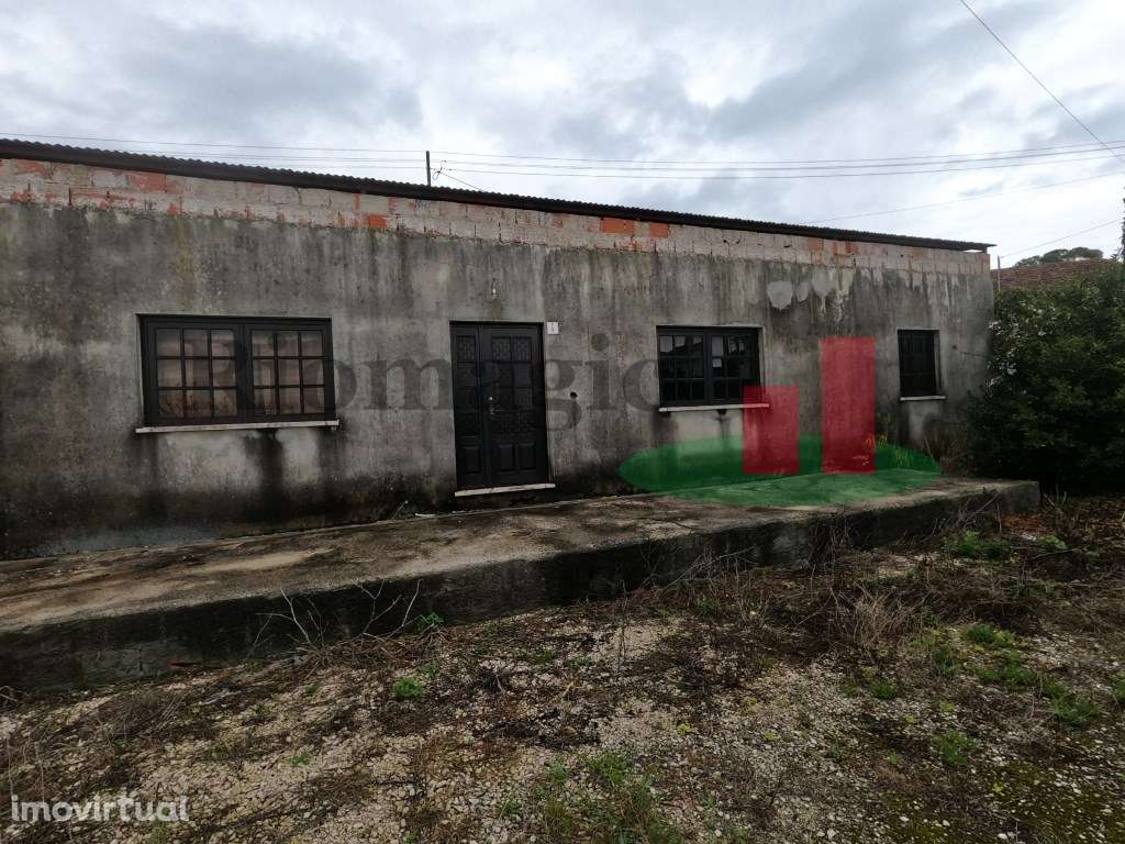 Armazém - Fráguas ***RIOMAGIC*** - Grande imagem: 5/26