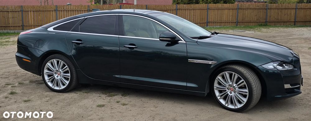 Jaguar XJ 3.0 D V6 Premium Luxury - 12