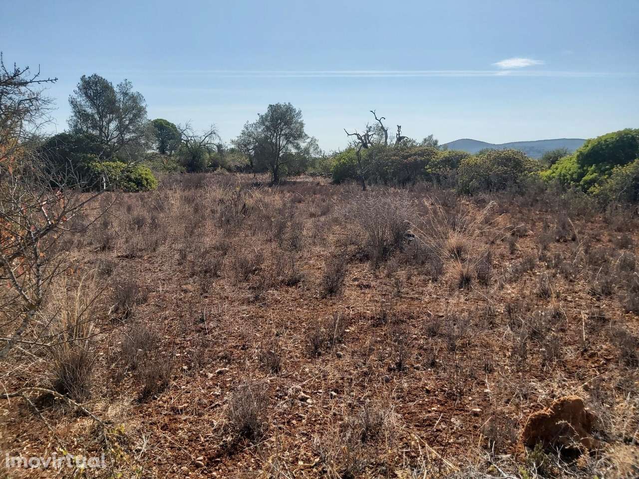 TERRENO RÚSTICO COM 2300M2 NAS TERRAS-MORTAS - S. SEBASTIÃO - LOULÉ - Grande imagem: 3/15