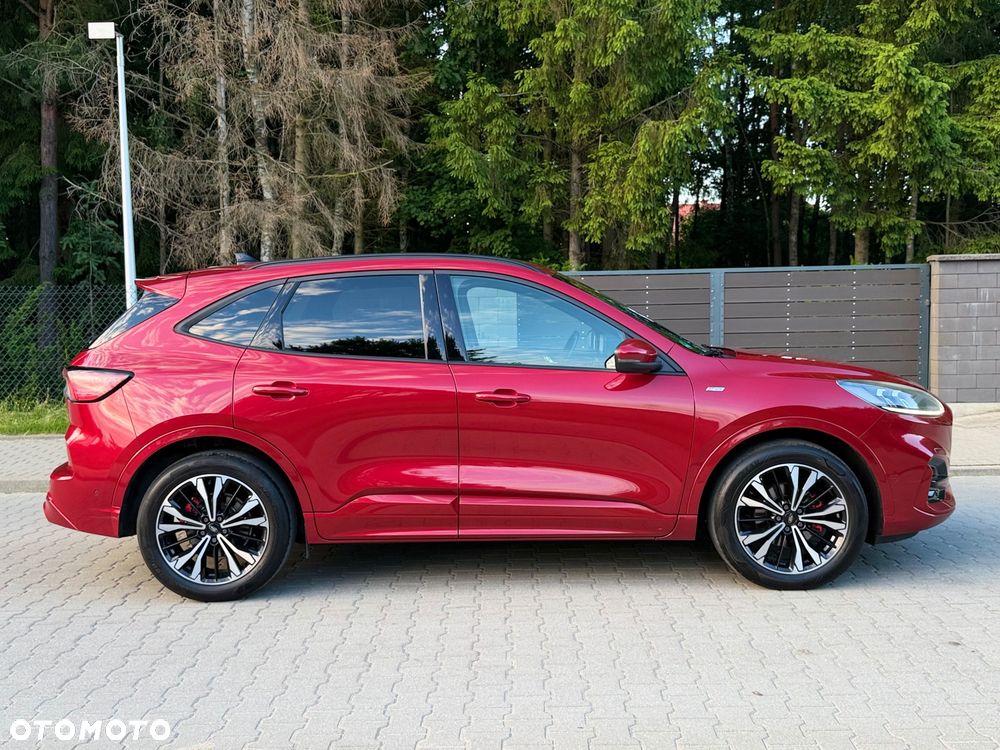Ford Kuga 2.0 EcoBlue AWD ST-Line X - 3