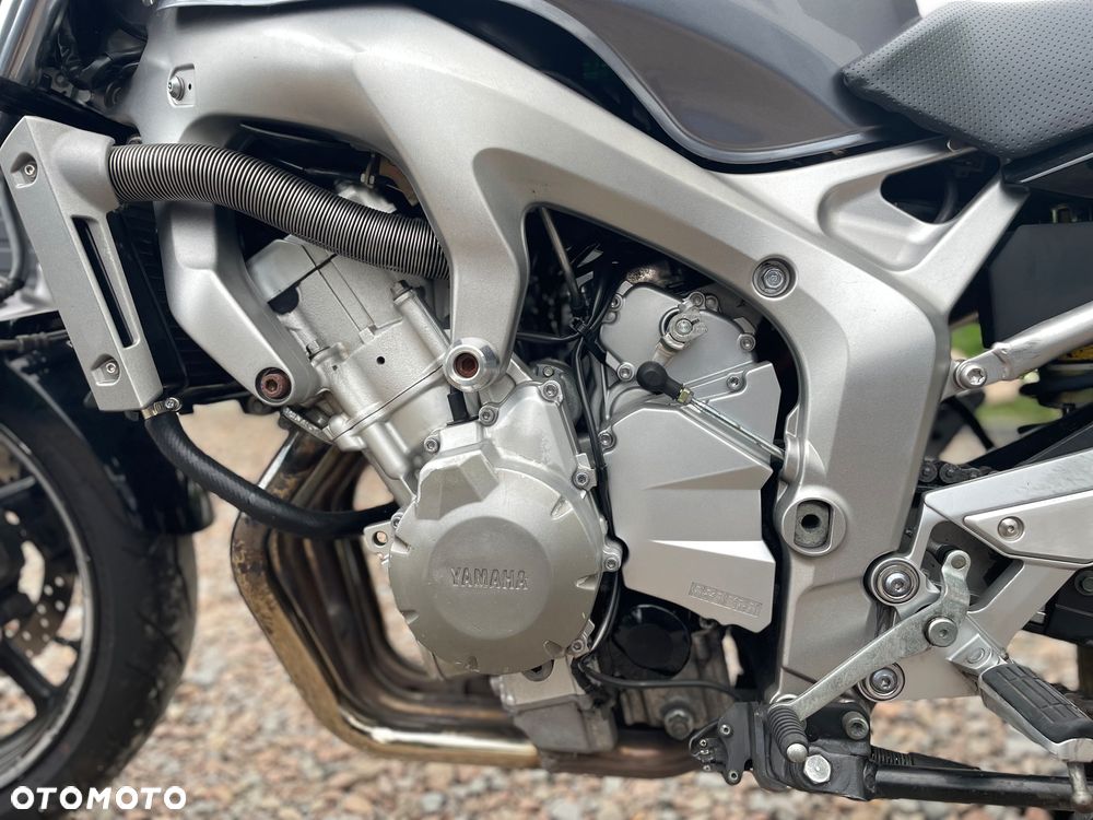 Yamaha FZ6 - 5