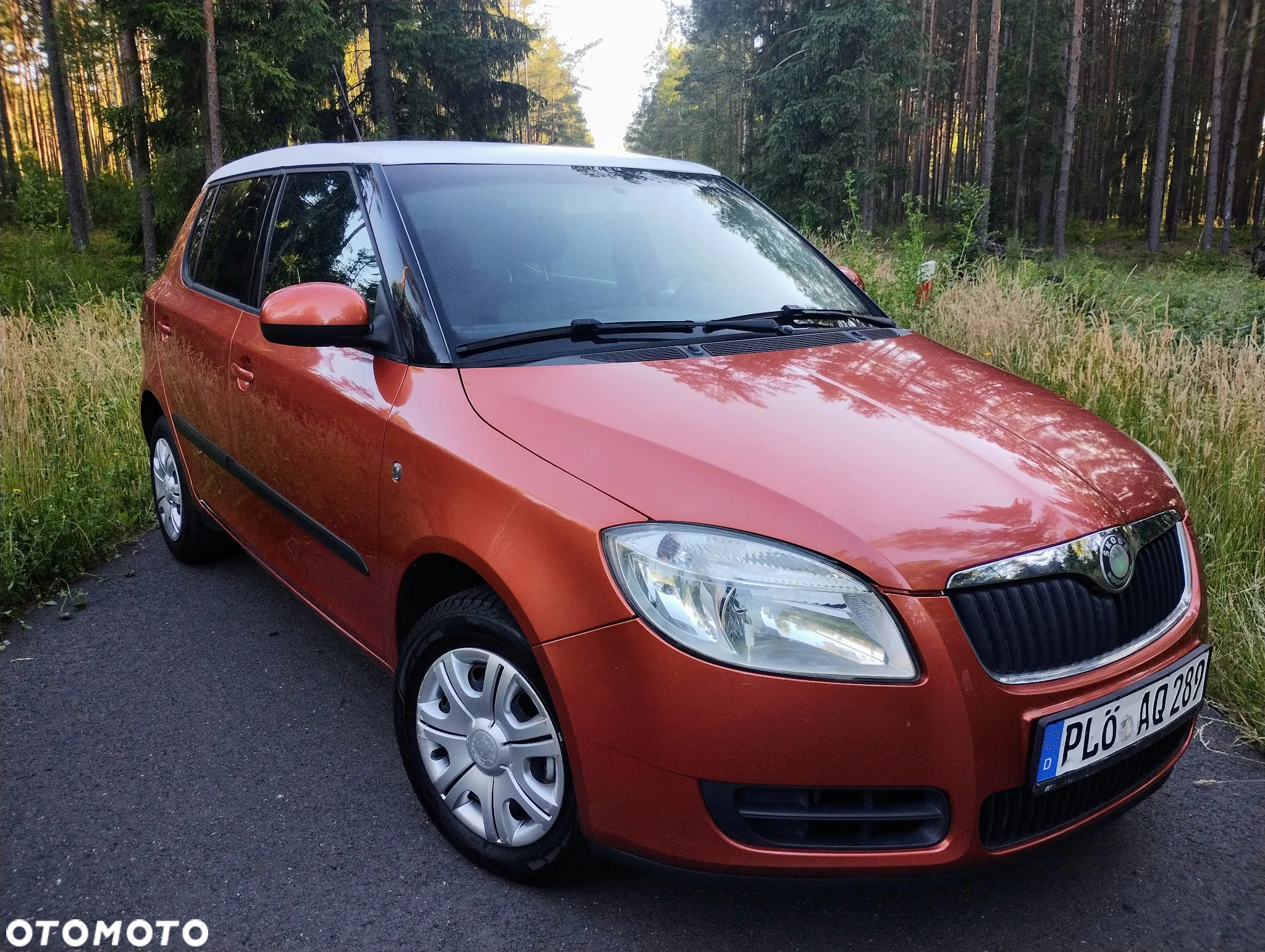 Skoda Fabia - 21