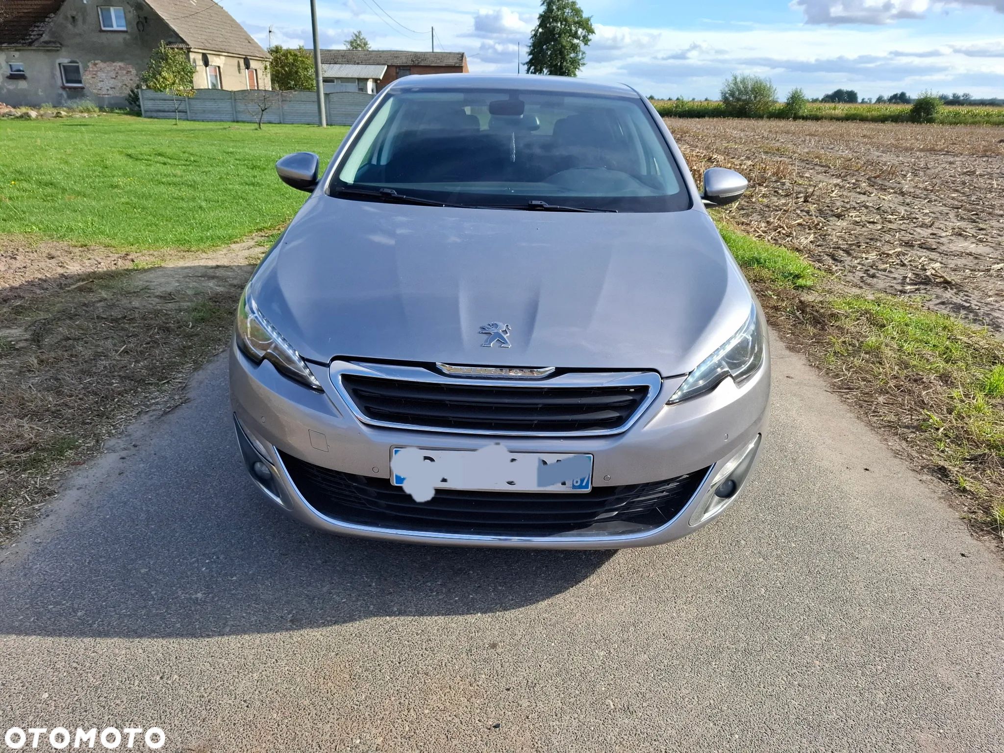Peugeot 308 1.6 BlueHDi Active S&S - 1