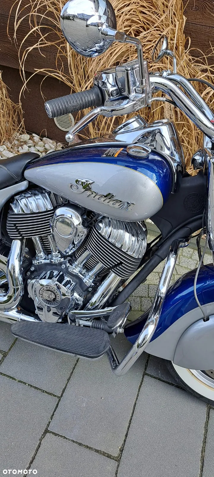 Indian Springfield - 19