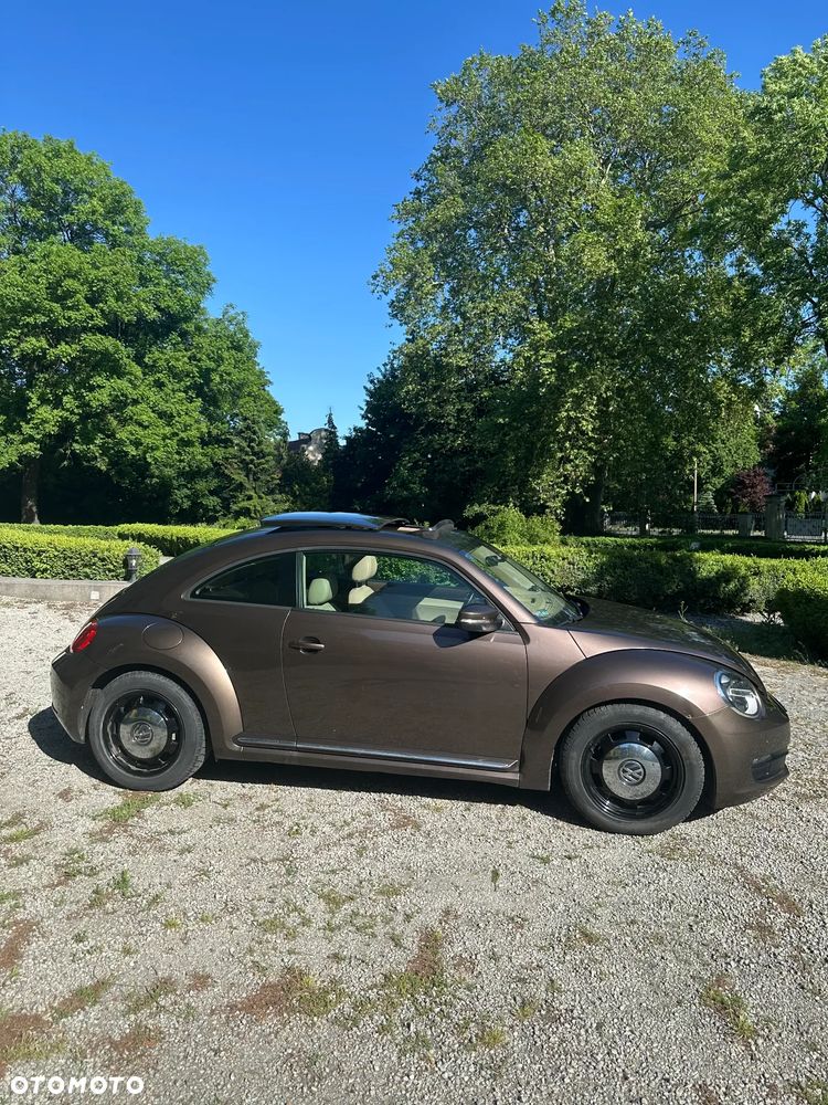 Volkswagen Beetle - 2