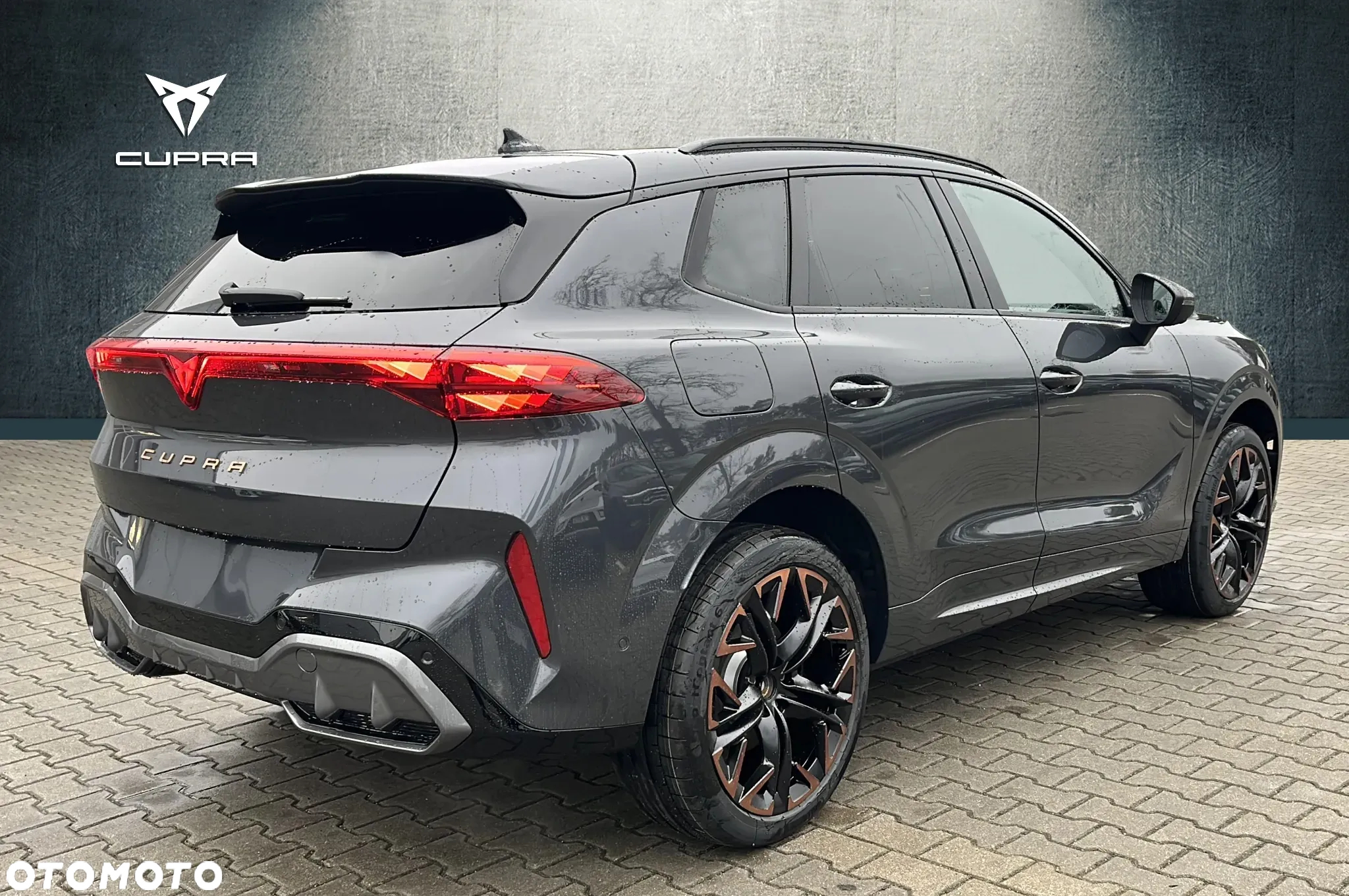Cupra Terramar 2.0 TSI 4Drive DSG - 5