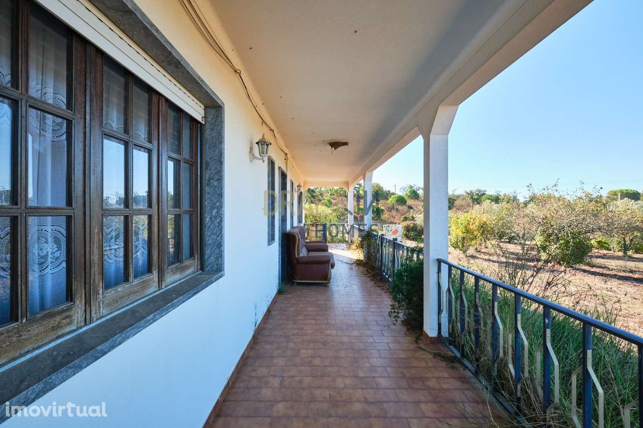 Quinta de 8 hectares em Melides - Grande imagem: 5/42