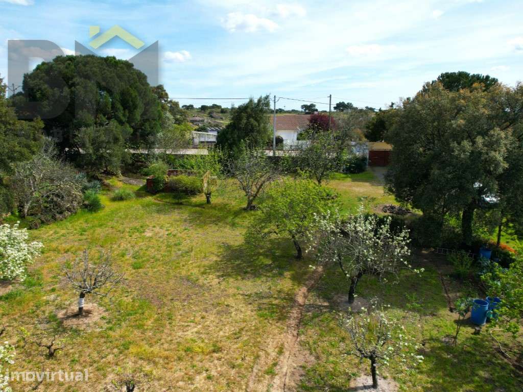 Lote de terreno para construção em Escalos de Baixo. - Grande imagem: 4/15