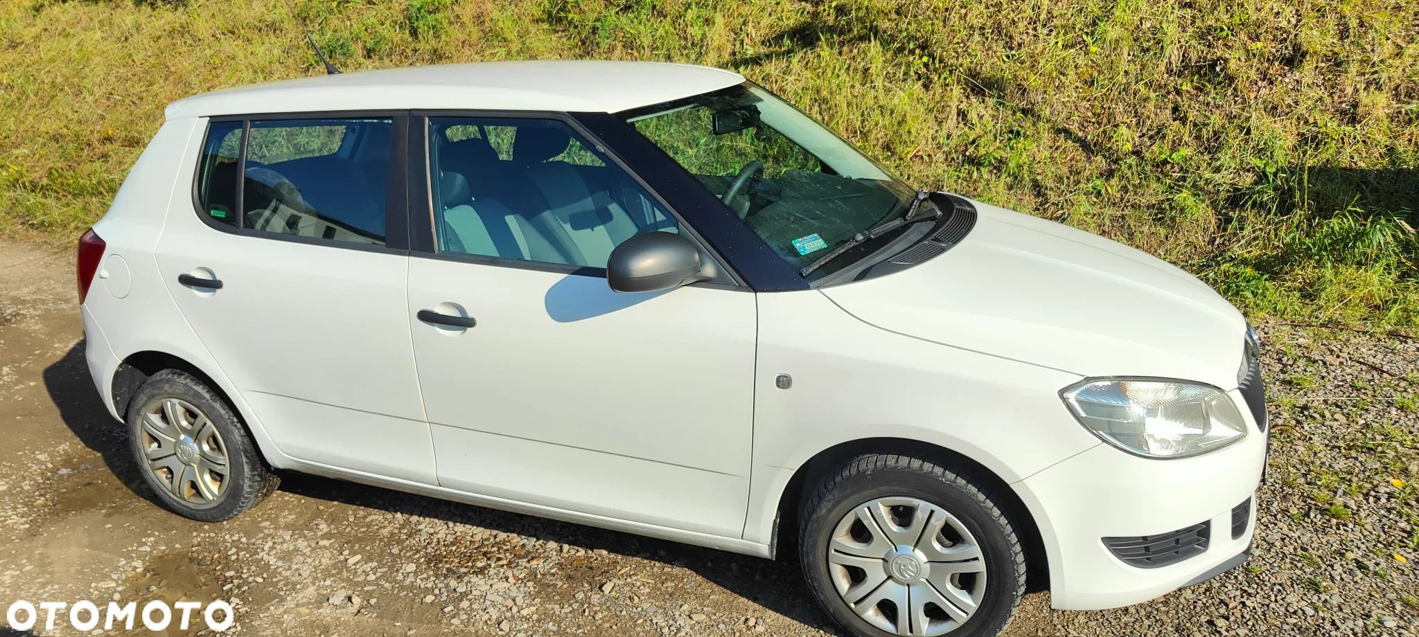 Skoda Fabia 1.6 TDI DPF Active - 1
