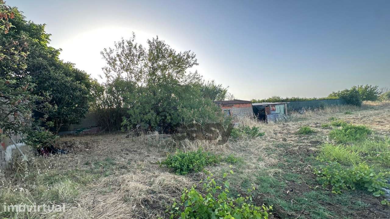 Terreno Rústico com 1,1 Hectares na Vidigueira - Grande imagem: 4/13