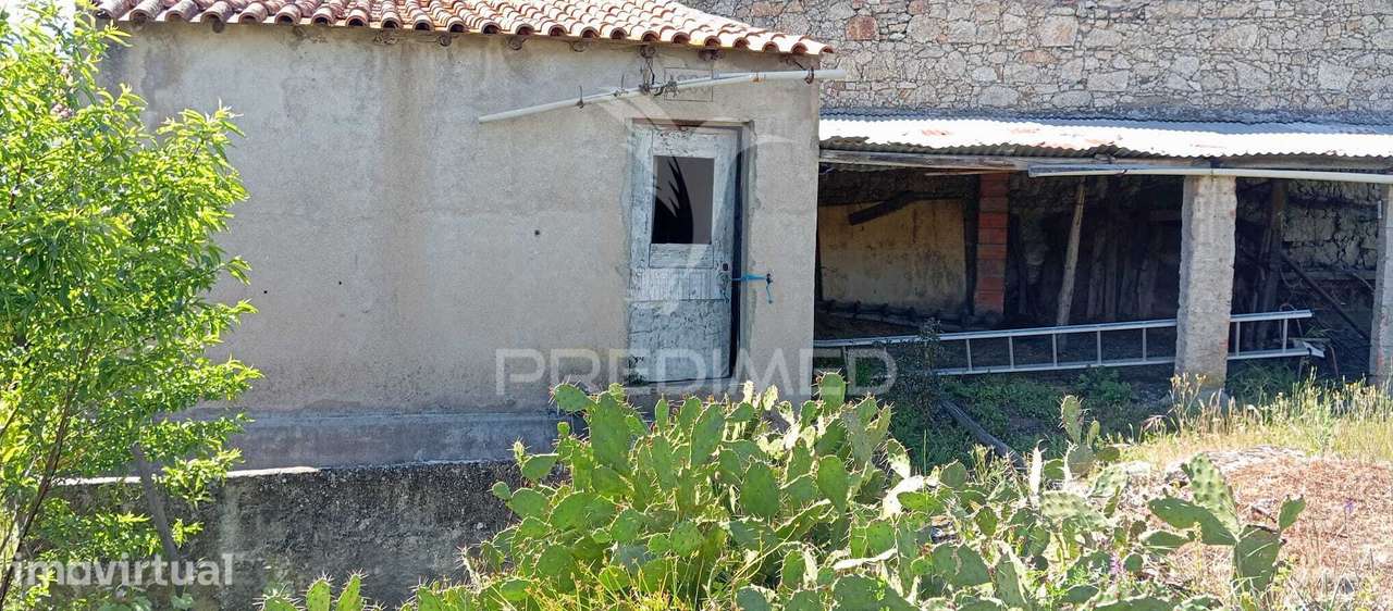 Moradia em Nisa - Grande imagem: 4/29