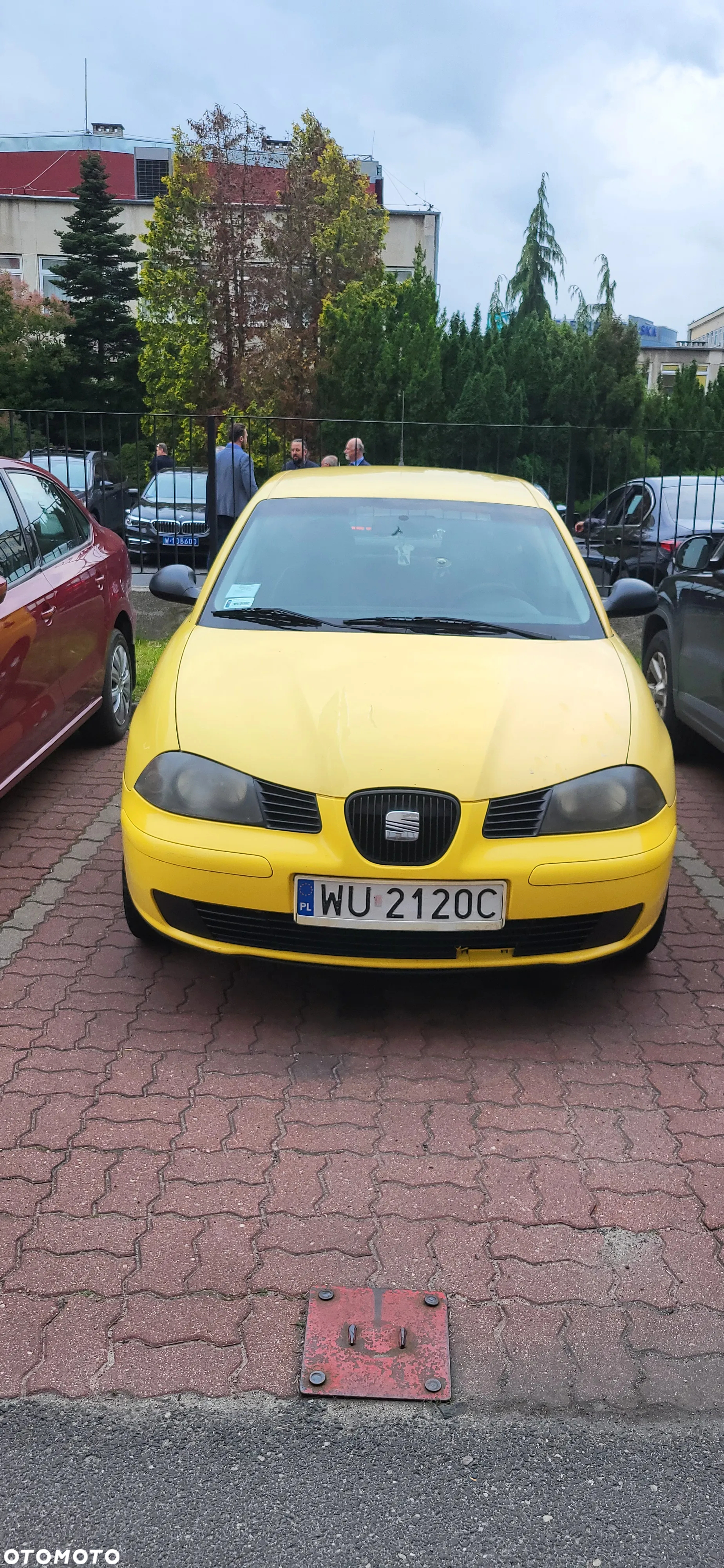 Seat Ibiza 1.9 TDI Stella - 40