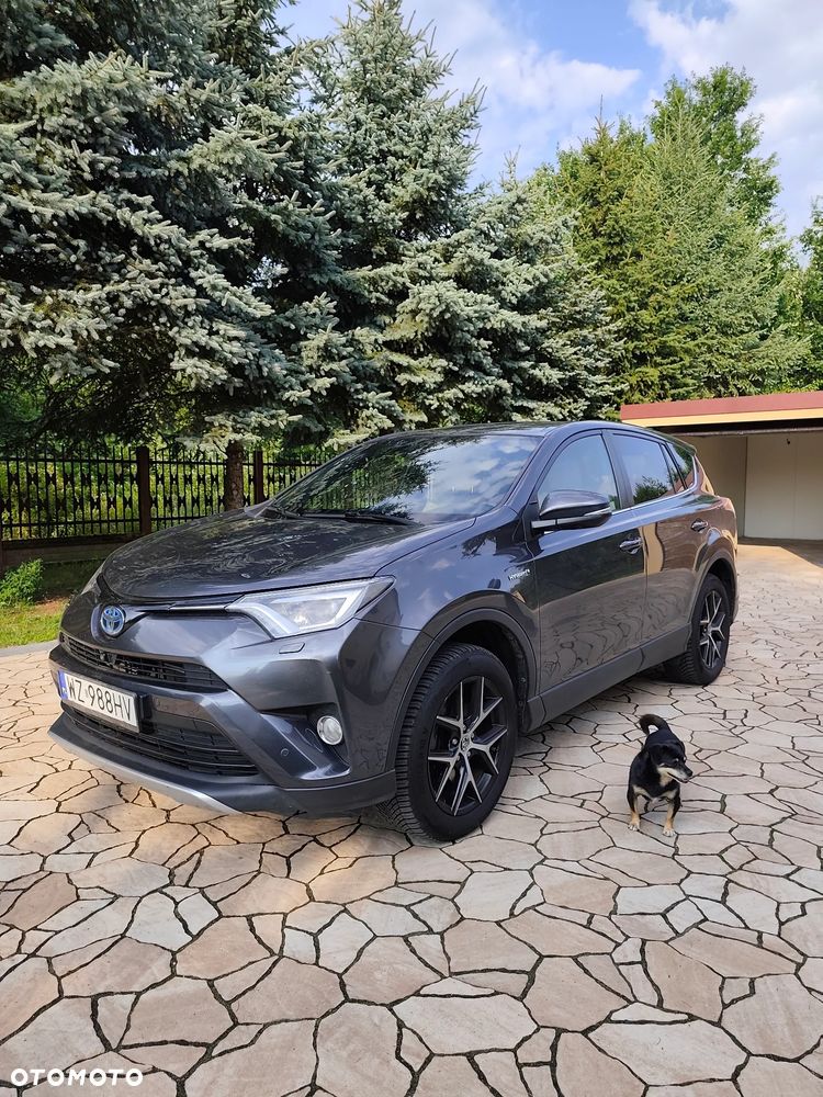 Toyota RAV4 Hybrid Prestige 4x4 - 11