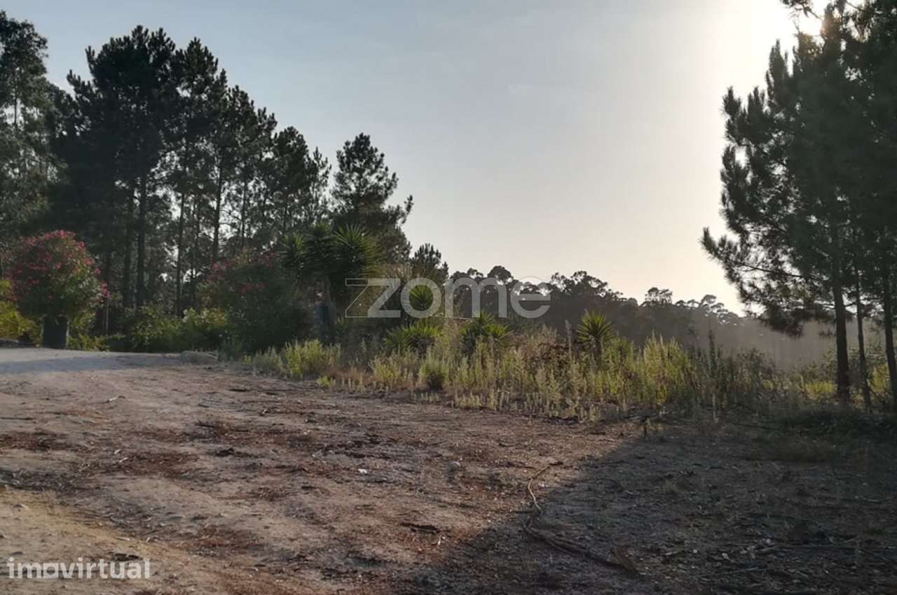 Terreno com 3445m2 na Maceira - Grande imagem: 3/17