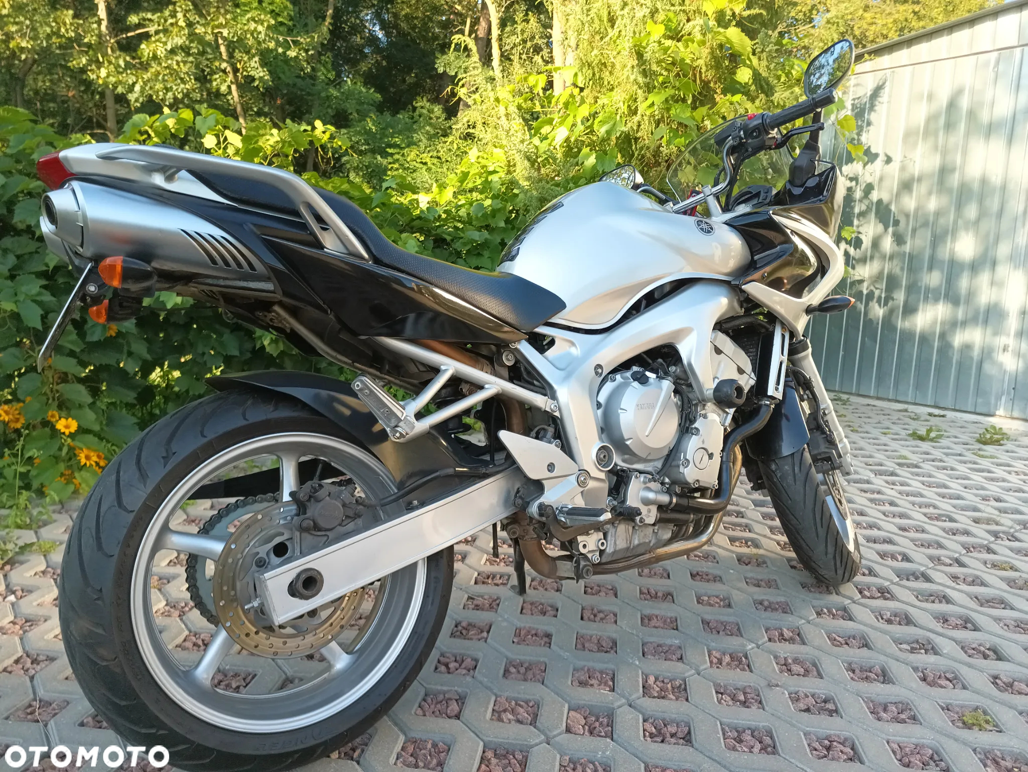 Yamaha FZ6 - 8