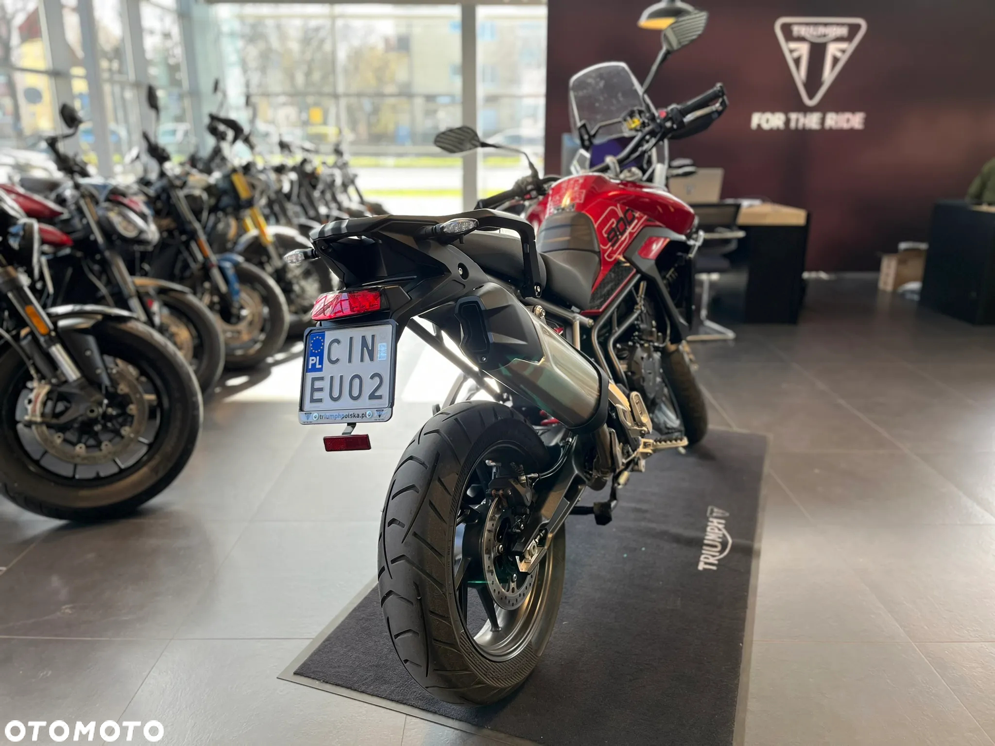 Triumph Tiger - 5